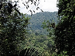 Im Kenong Rimba State Park