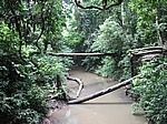 Im Kenong Rimba State Park